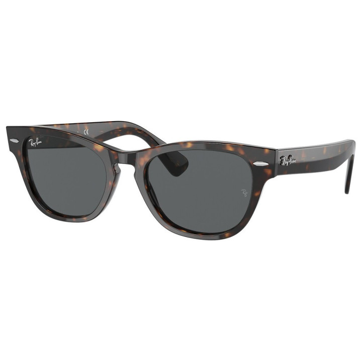 Sunčane naočale Ray Ban Laramie
