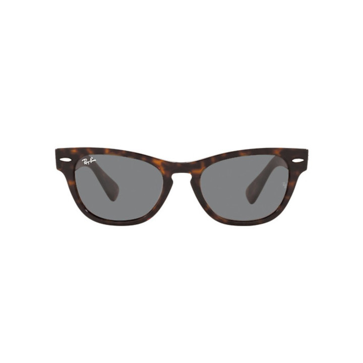 Sunčane naočale Ray Ban Laramie