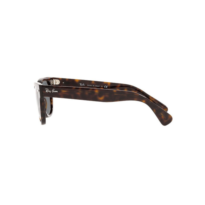 Sunčane naočale Ray Ban Laramie