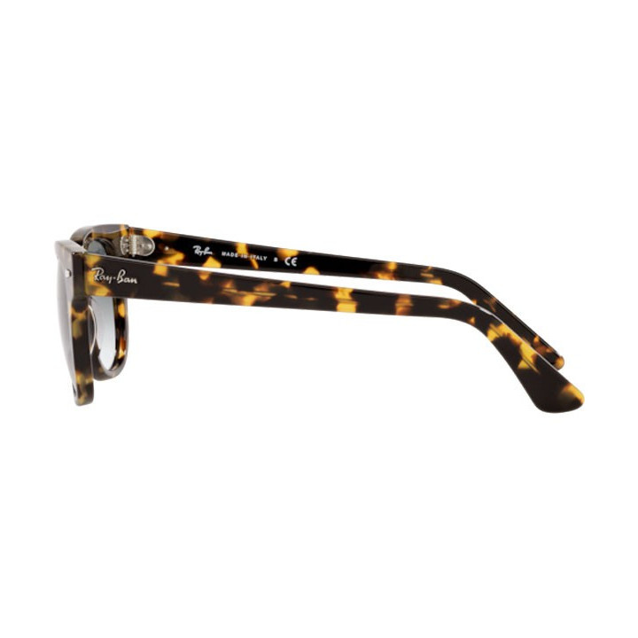 Sunčane naočale Ray Ban Meteor